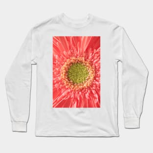 centre of a universe. SPRING . as is Long Sleeve T-Shirt